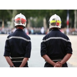 F.E.V.S. SERVICIO DE...