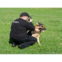 F.E.V.S.: VIGILANCIA CON...