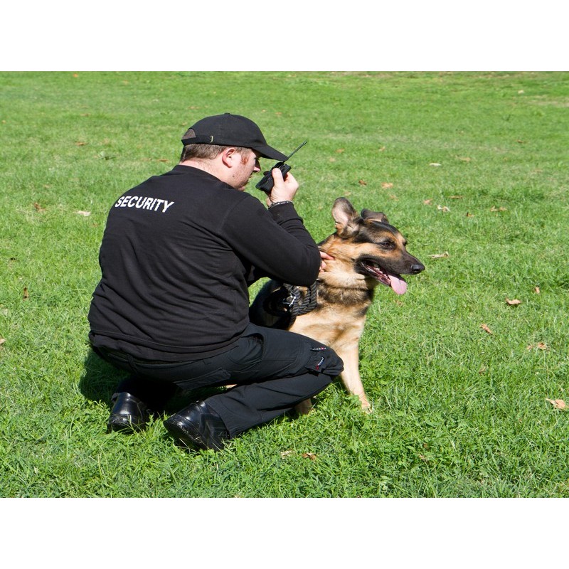 F.E.V.S.: VIGILANCIA CON PERROS