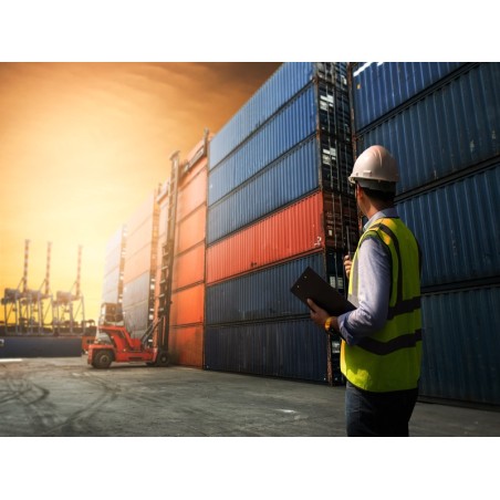 F.E.V.S. VIGILANCIA EN PUERTOS