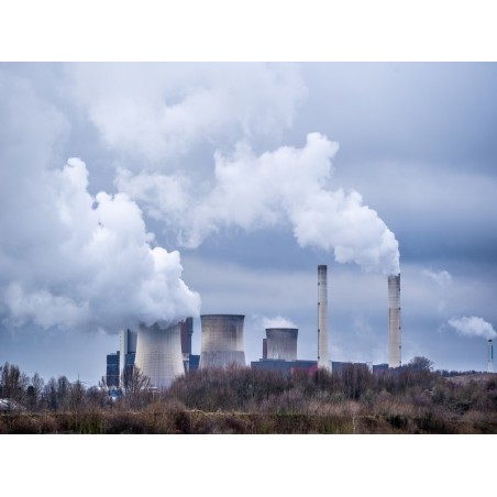 CAMBIO CLIMATICO Y HUELLA DE CARBONO