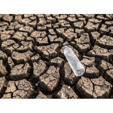 CONTAMINACIÓN DE SUELOS