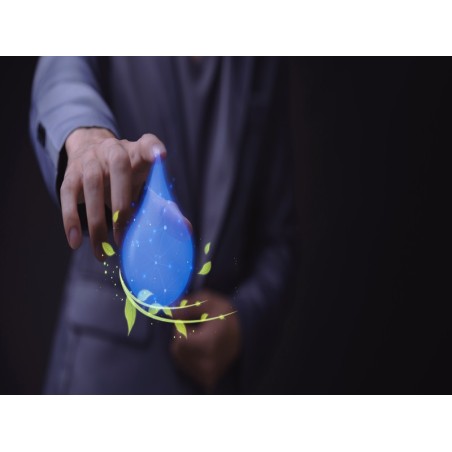 GESTIÓN SOSTENIBLE DEL AGUA