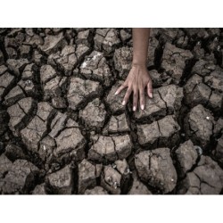 NORMA ISO 14001 Y SU...