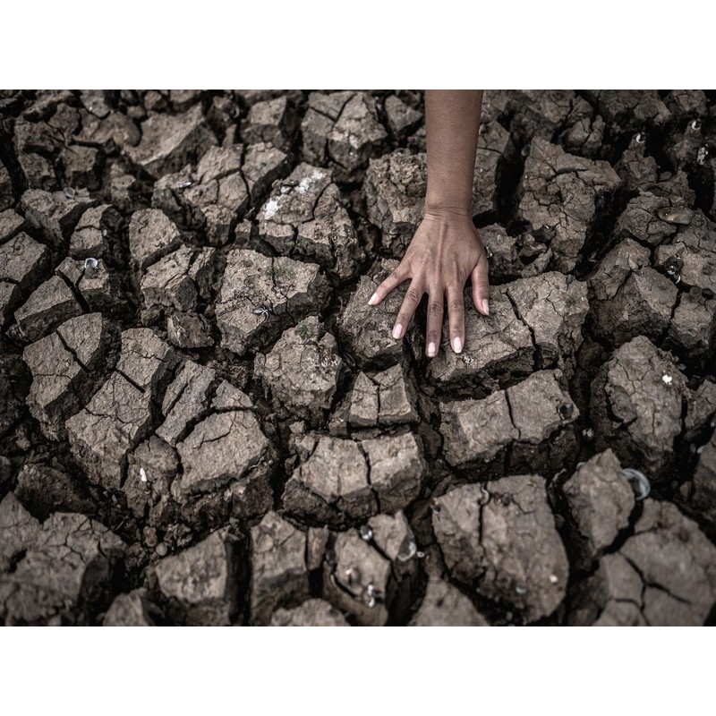 NORMA ISO 14001 Y SU IMPLANTACIÓN EN LA EMPRESA