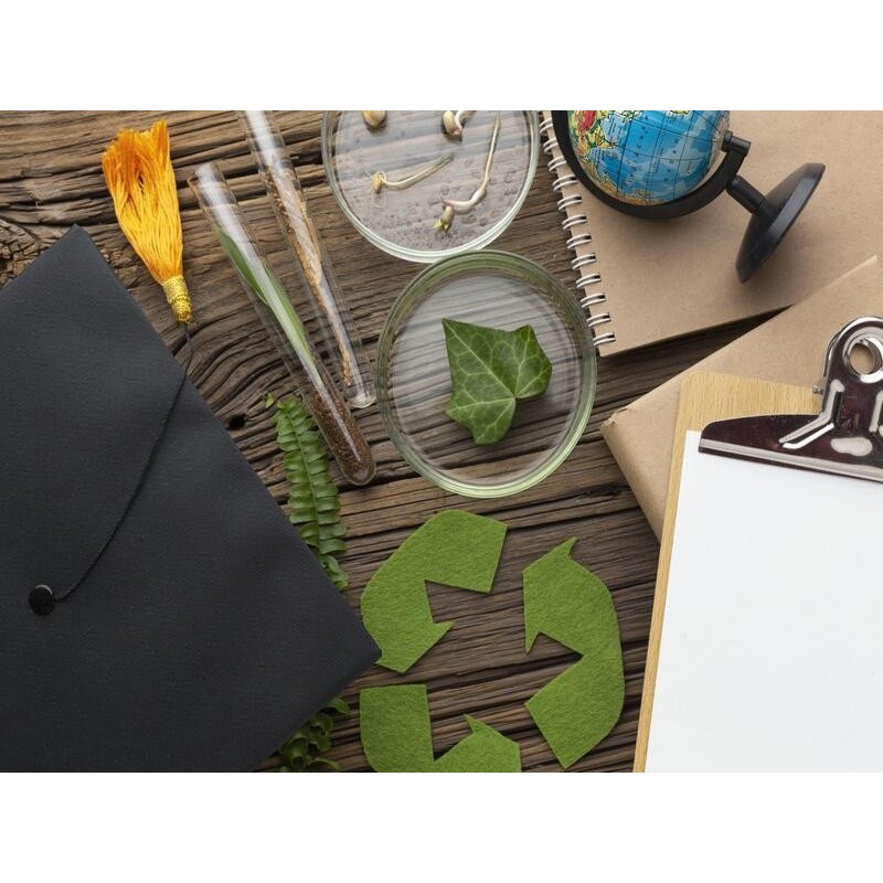 MEDIOAMBIENTE Y ACTIVIDAD EMPRESARIAL