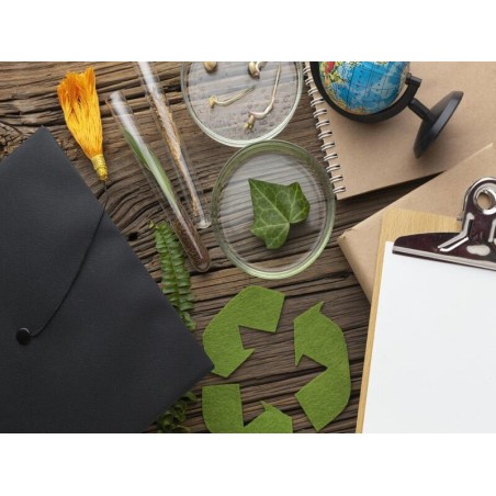 MEDIOAMBIENTE Y ACTIVIDAD EMPRESARIAL