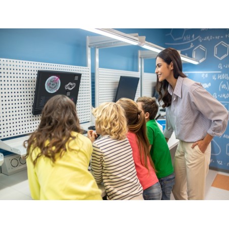 ATENCIÓN A LA DIVERSIDAD: NECESIDADES EDUCATIVAS ESPECIALES