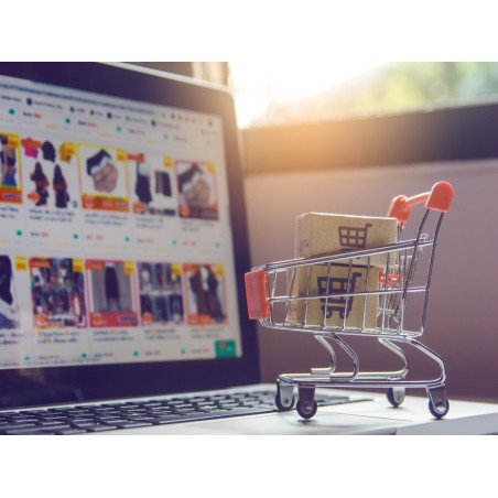 COMERCIO ELECTRÓNICO (2020)