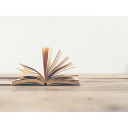 EL CUENTO COMO ELEMENTO...