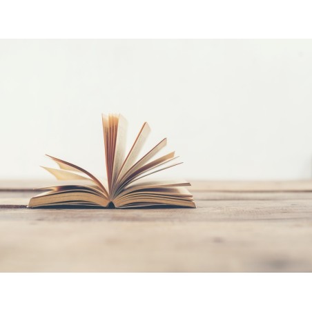 EL CUENTO COMO ELEMENTO DINAMIZADOR