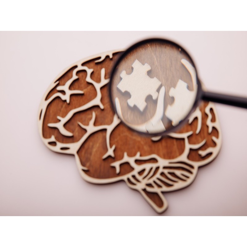 ALTERACIONES DEGENERATIVAS, DEMENCIAS Y ALZHEIMER