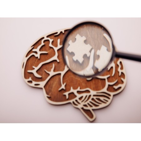 ALTERACIONES DEGENERATIVAS, DEMENCIAS Y ALZHEIMER