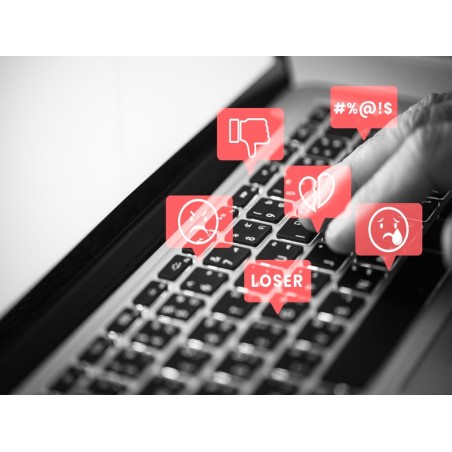 CIBERBULLYNG: PROGR. Y ESTRAT. DE PRENCIÓN E INTERV. DESDE EL CONTEXTO ESCOLAR Y FAMILIAR