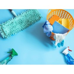 FORMACIÓN BÁSICA PARA...