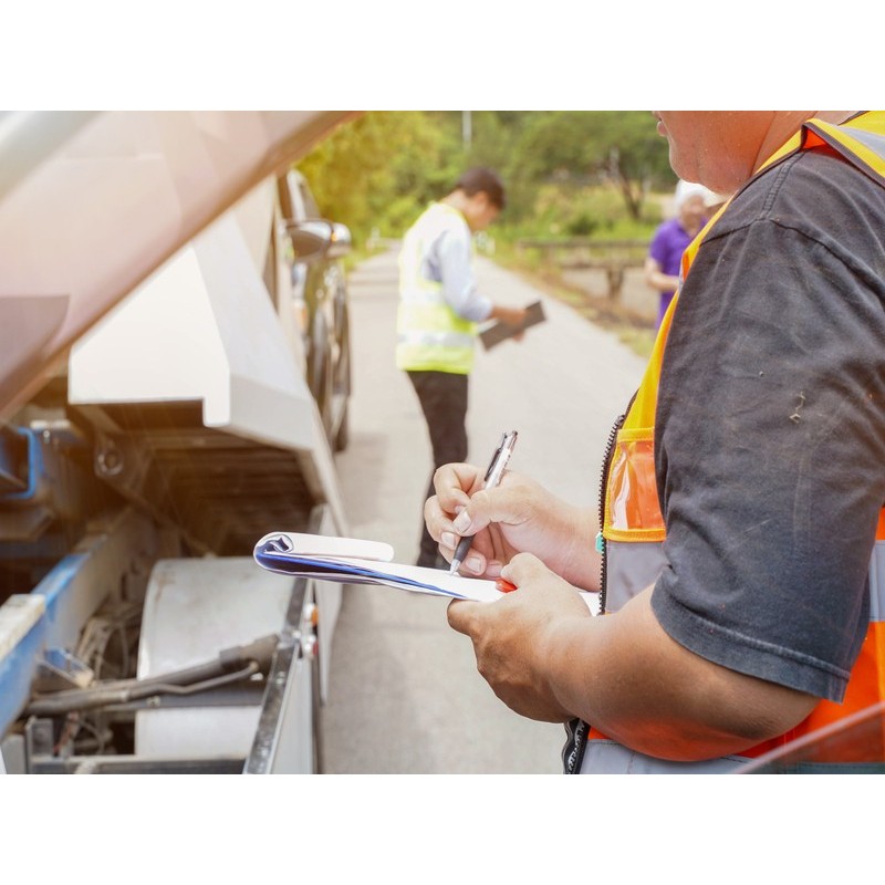 INSPECCIÓN Y RÉGIMEN SANCIONADOR EN EL TRANSPORTE POR CARRETERA