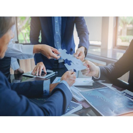 ANÁLISIS DE PROBLEMAS Y TOMA DE DECISIONES