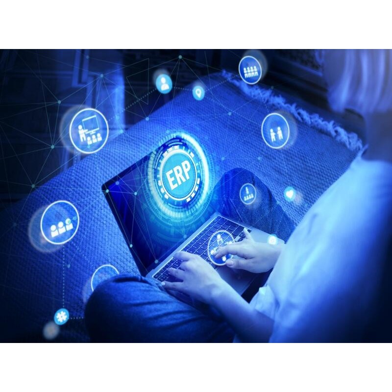 IFCT061PO - INTRODUCCIÓN A LOS SISTEMAS DE INFORMACIÓN INTEGRADOS (ERP)