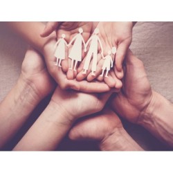 AVANZADO EN SEGUROS....