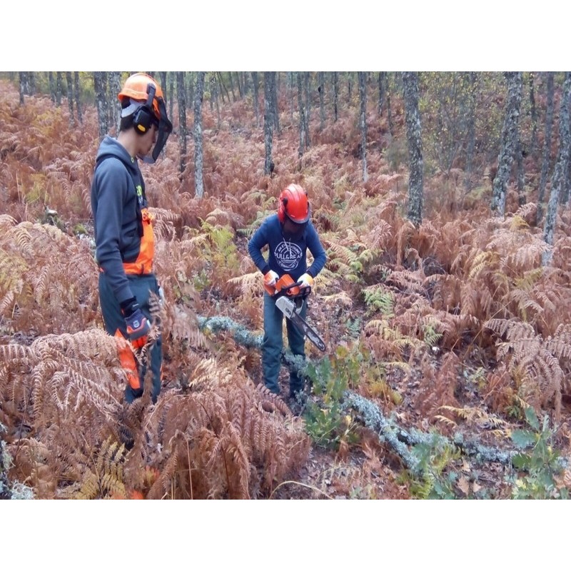 AGAR0309 - ACTIVIDADES AUXILIARES EN CONSERVACIÓN Y MEJORA DE MONTES