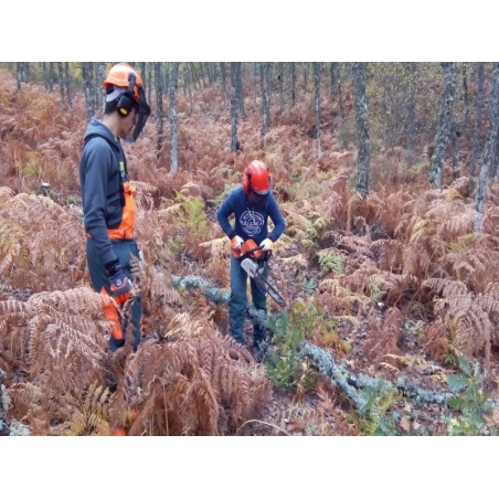 AGAR0309 - ACTIVIDADES AUXILIARES EN CONSERVACIÓN Y MEJORA DE MONTES