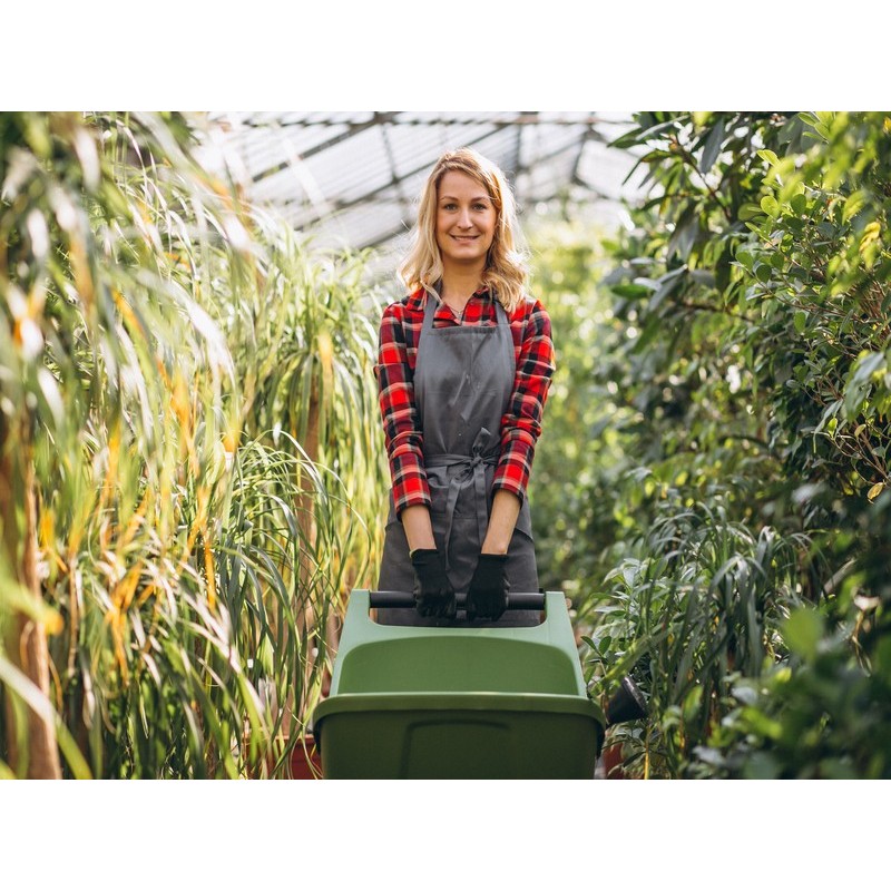 ACTIVIDADES AUXILIARES EN AGRICULTURA