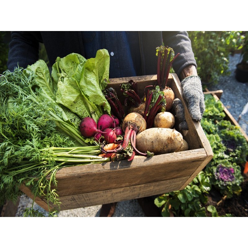 AGRICULTURA ECOLÓGICA