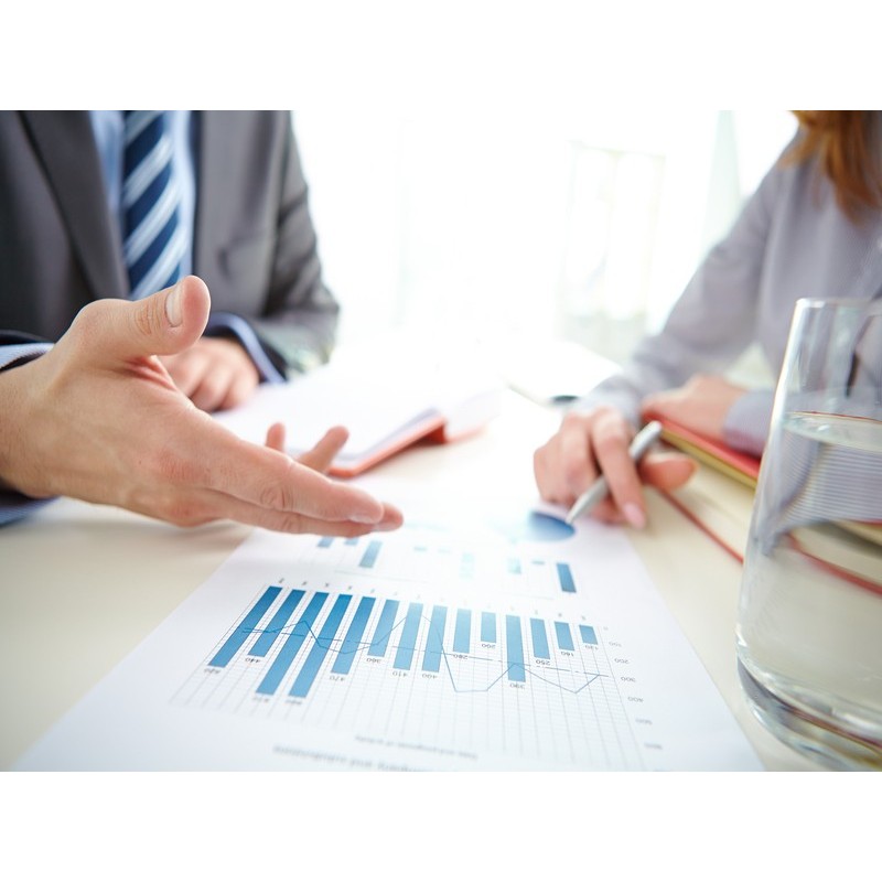 AUDITORÍA DE LAS ÁREAS DE LA EMPRESA