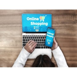 CREACIÓN DE EMPRESAS ON-LINE.