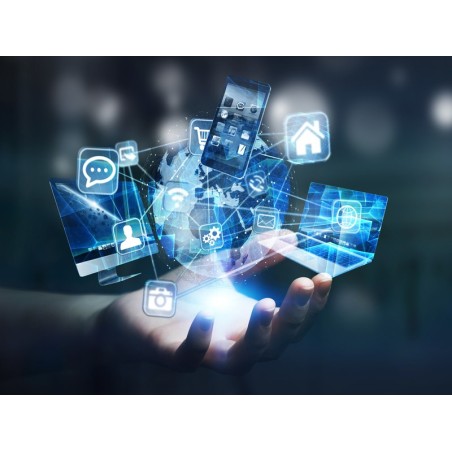 DESARROLLO TECNOLÓGICO. MOBILE BUSINESS STRATEGY