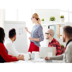 DESARROLLO TIC PARA LA...