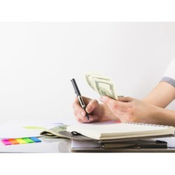 EL PRESUPUESTO COMO...