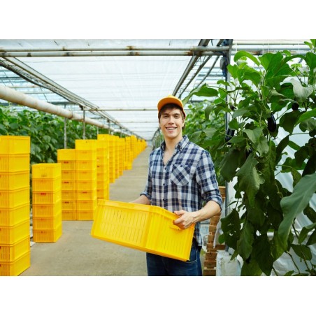 GESTIÓN E INCORPORACIÓN A LA EMPRESA AGRARIA