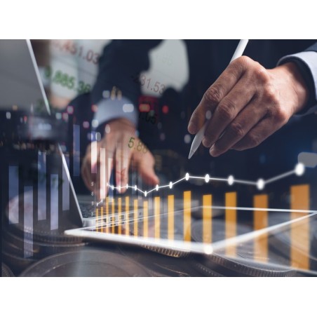 GESTIÓN ECONÓMICA FINANCIERA PARA LA TOMA DE DECISIONES DE RIESGO