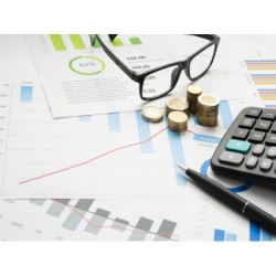 GESTIÓN FISCAL-IRPF