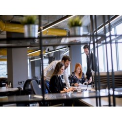 HABILIDADES DIRECTIVAS Y...