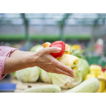 IMPLANTACIÓN DE BRC