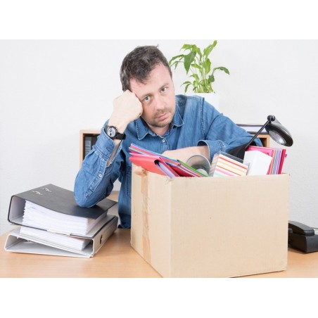 LA PRESTACIÓN ECONÓMICA POR CESE DE ACTIVIDAD DE LOS TRABAJADORES AUTÓNOMOS