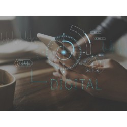 PROGRAMA AVANZADO EN...