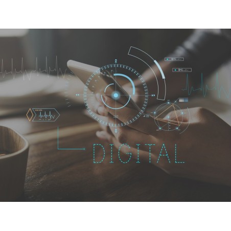 PROGRAMA AVANZADO EN TRANSFORMACIÓN DIGITAL