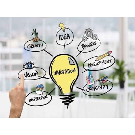 SISTEMA DE I+D+I Y GESTIÓN DE LA INNOVACIÓN