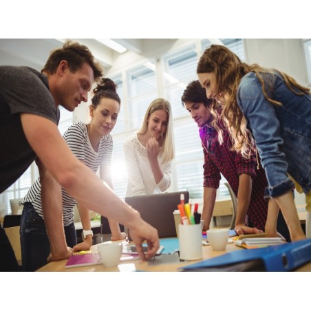 DIRECCIÓN DE LA ACTIVIDAD EMPRESARIAL DE PEQUEÑOS NEGOCIOS O MICROEMPRESAS