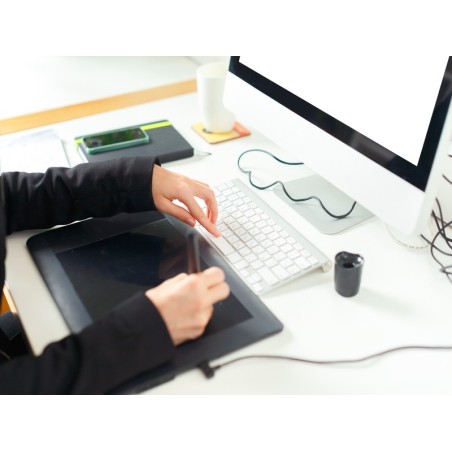 DISEÑO GRÁFICO VECTORIAL CON ADOBE ILLUSTRATOR (AVANZADO)