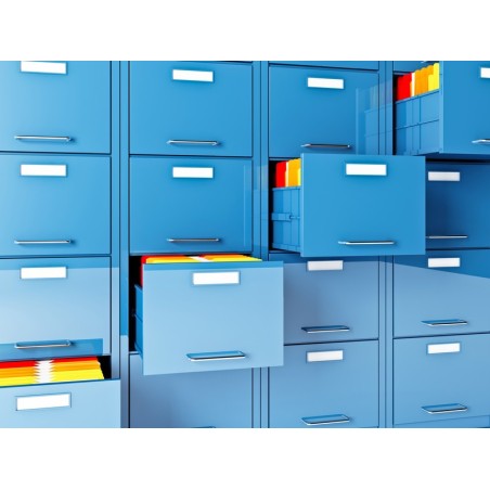 GESTIÓN DE ARCHIVOS