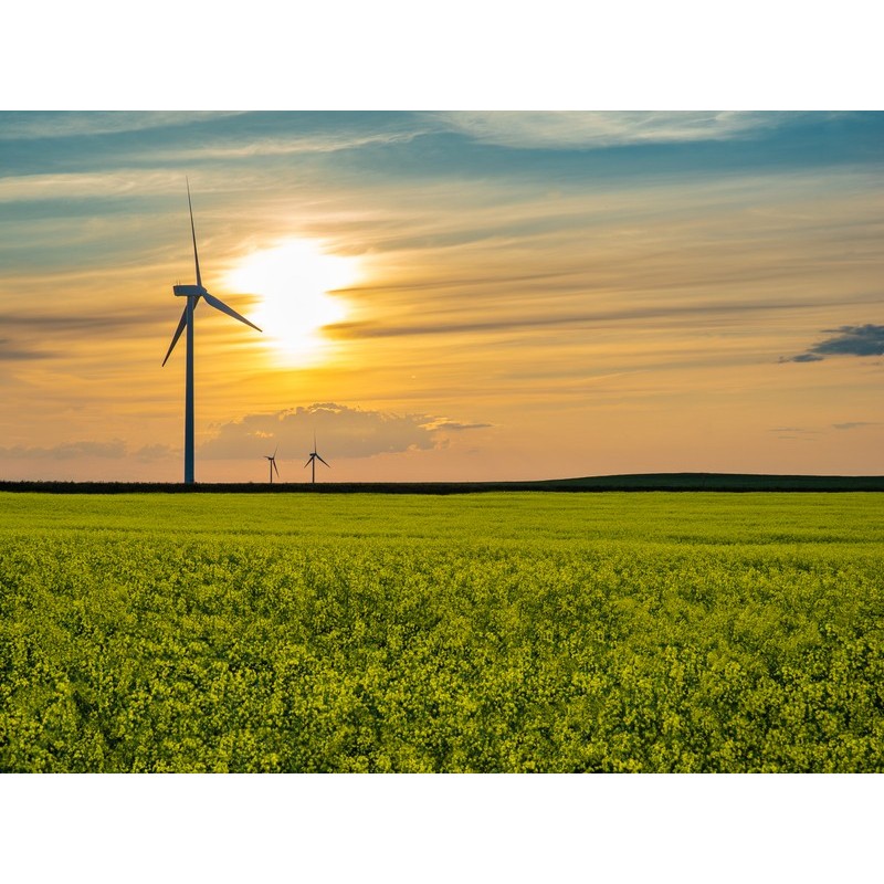 INTRODUCCIÓN A LAS ENERGÍAS RENOVABLES