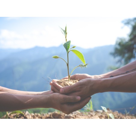 SENSIBILIZACIÓN AMBIENTAL.