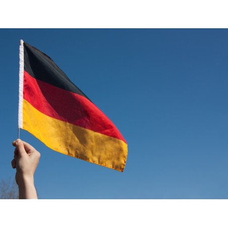 ALEMÁN A1 (MARCO COMÚN EUROPEO)