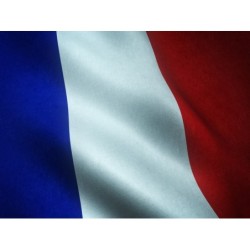 FRANCES A1 (MARCO COMÚN...