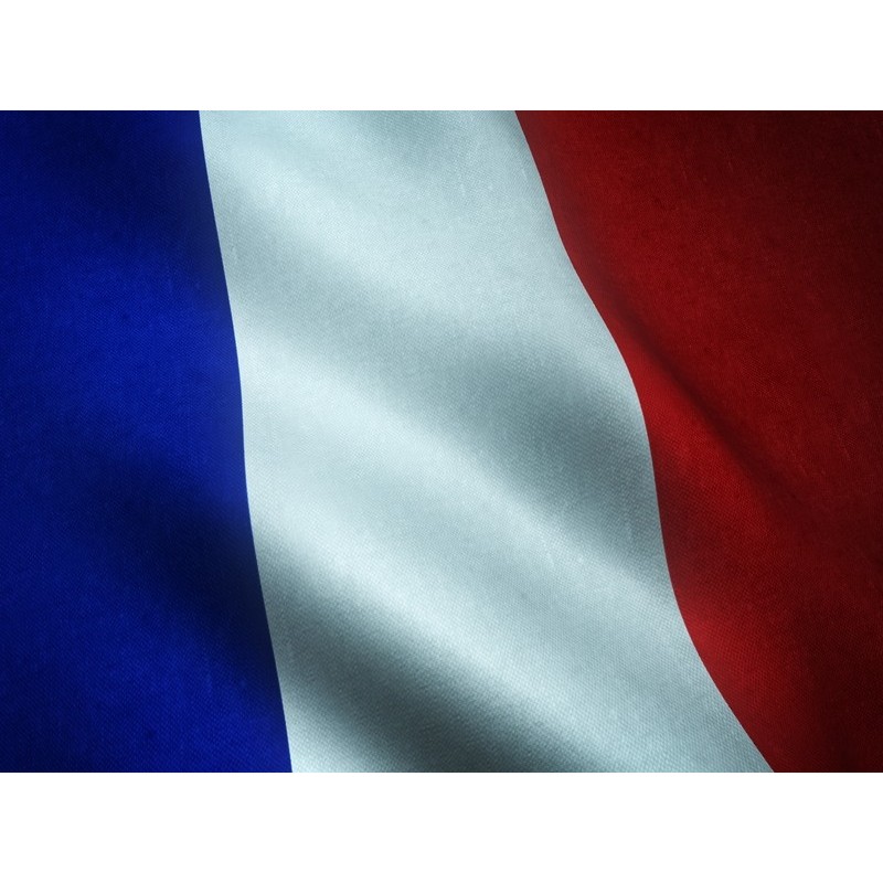 FRANCES A1 (MARCO COMÚN EUROPEO)