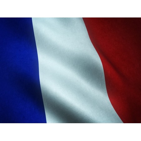 FRANCES A1 (MARCO COMÚN EUROPEO)